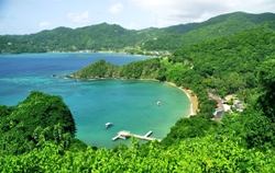Tobago Scuba Diving Best of the North & South Tobago Scuba Diving Best of the North & South